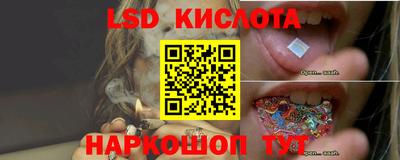 эйфоретик Обь
