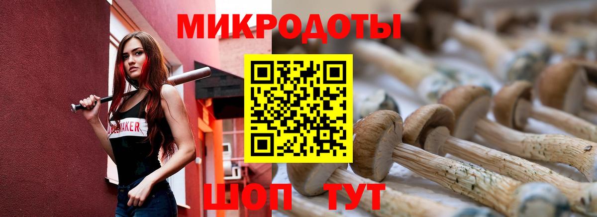 Тара  Галлюциногенные грибы Psilocybine cubensis  Вход с VPN 