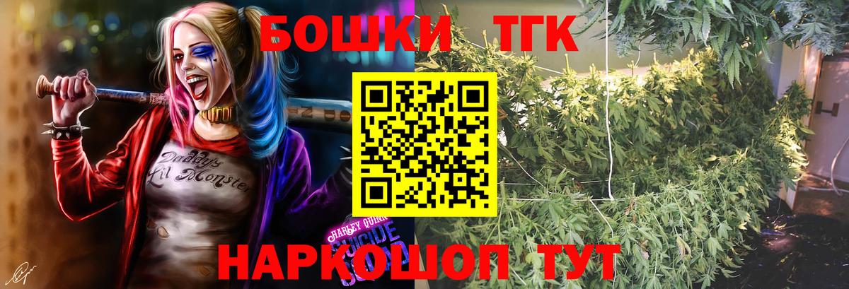 Тара  Шишки марихуана план  Бошки Шишки гибрид  Вход с VPN 